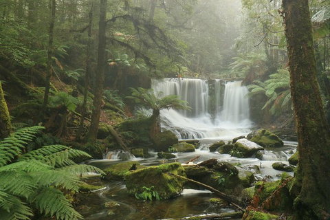 Mt Field National Park Active Day-Trip Including Bonorong And Mt Wellington - Perth Resorts 10