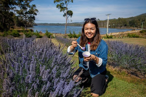 Port Arthur And Lavender Farm Active Day Tour - Perth Resorts 0