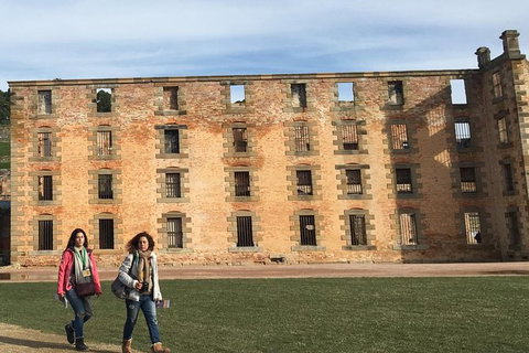 Port Arthur And Lavender Farm Active Day Tour - Perth Resorts 3