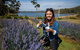 Port Arthur And Lavender Farm Active Day Tour - thumb 2