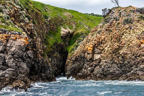 Hobart Sightseeing Cruise Including Iron Pot Lighthouse - Accommodation Perth 1
