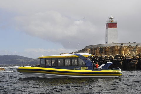 Hobart Sightseeing Cruise Including Iron Pot Lighthouse - Accommodation Perth 7