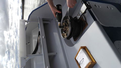 Fresh From The Ocean: Tasmanian Seafood Gourmet Full-Day Cruise Including Lunch - Accommodation Perth 9