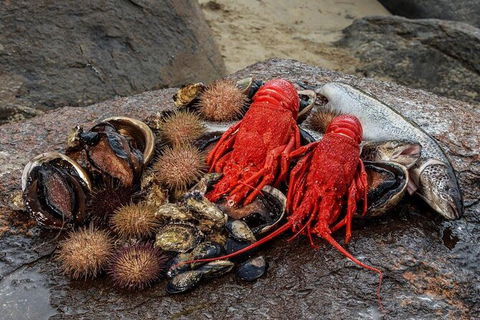 Fresh From The Ocean: Tasmanian Seafood Gourmet Full-Day Cruise Including Lunch - Accommodation Perth 16