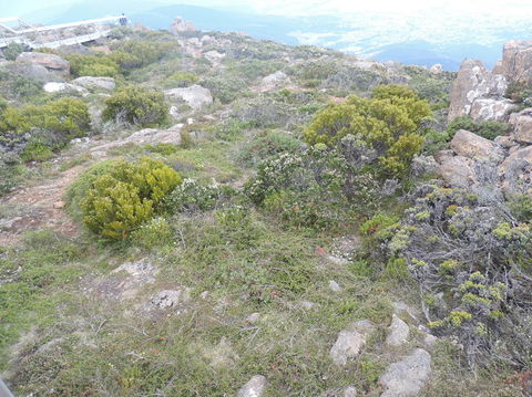 Mt Wellington Tour And MONA Admission - Accommodation Perth 8
