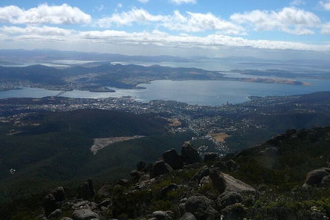 Mt Wellington Tour And MONA Admission - Accommodation Perth 15
