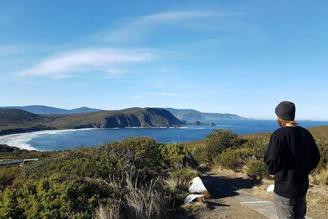 Small-Group Day Trip From Hobart To Bruny Island - Accommodation Perth 6