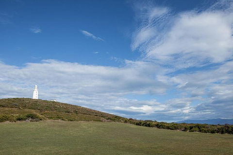 Bruny Island Premium Private Photo-oriented Day Tour From Hobart - Accommodation Perth 3