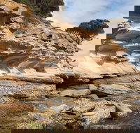 Maria Island premium private photo-oriented day tour from Hobart - Accommodation Perth