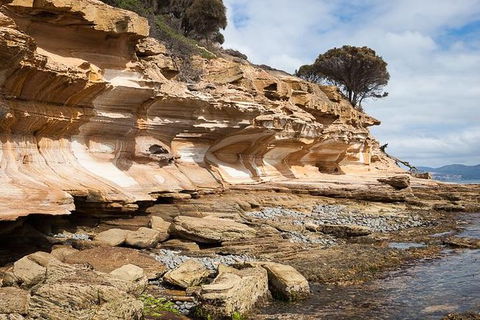 Maria Island Premium Private Photo-oriented Day Tour From Hobart - Accommodation Perth 0