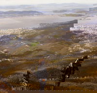 Mt Wellington Half Day Guided Summit Hike - Accommodation Perth