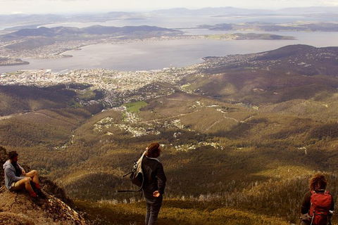 Mt Wellington Half Day Guided Summit Hike - Accommodation Perth 0