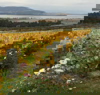 Mona and Wine Experience Tour - Accommodation Perth