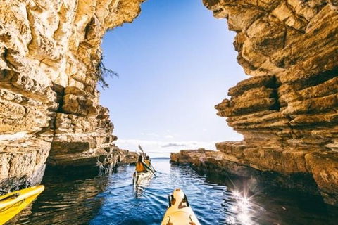 Hobart Kayak Tour - Accommodation Perth 0