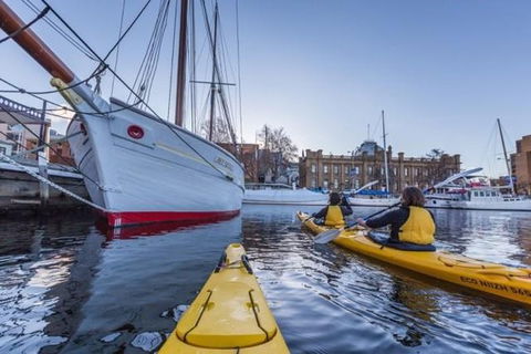 Hobart Kayak Tour - Accommodation Perth 1