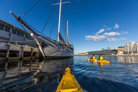 Hobart Kayak Tour - Accommodation Perth 8