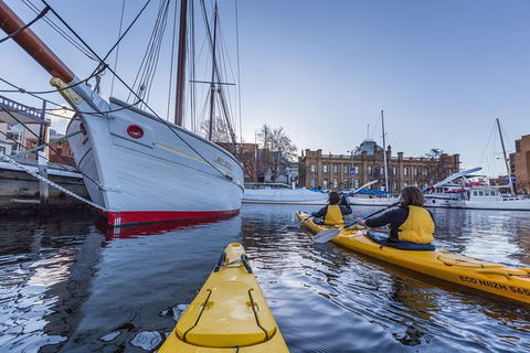 Hobart Kayak Tour - Accommodation Perth 5