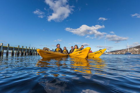 Hobart Kayak Tour - Accommodation Perth 7
