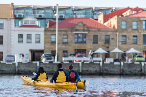 Hobart Kayak Tour - Accommodation Perth 6