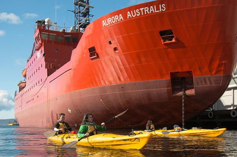 Hobart Kayak Tour - Accommodation Perth 3