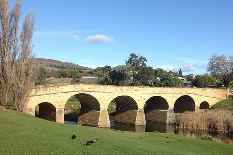 Private Bonorong Wildlife Sanctuary And Richmond 5 Hour Trip From Hobart - Perth Resorts 1