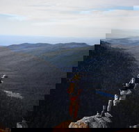 Mount Field National Park - Tarn Shelf  Russell Falls - Guided Hiking Tour - Perth Resorts