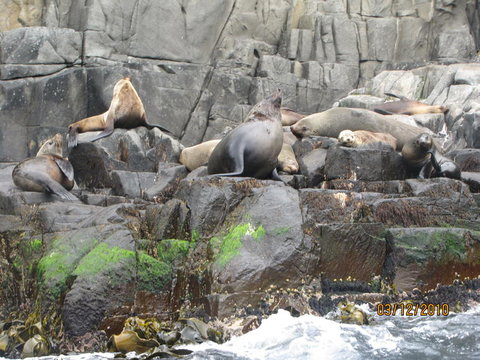 Full-Day Bruny Island Tour From Hobart - Perth Resorts 2