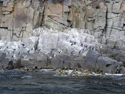 Full-Day Bruny Island Tour From Hobart - Perth Resorts 24