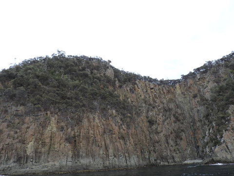 Full-Day Bruny Island Tour From Hobart - Perth Resorts 12