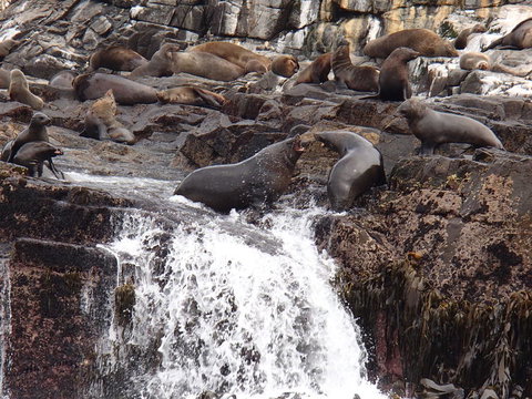 Full-Day Bruny Island Tour From Hobart - Perth Resorts 21