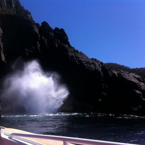 Full-Day Bruny Island Tour From Hobart - Perth Resorts 18