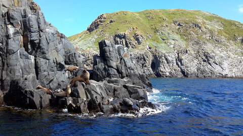 Full-Day Bruny Island Tour From Hobart - Perth Resorts 6