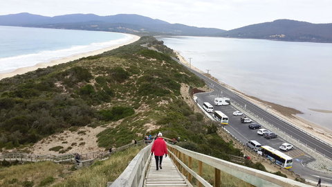 Full-Day Bruny Island Tour From Hobart - Perth Resorts 7