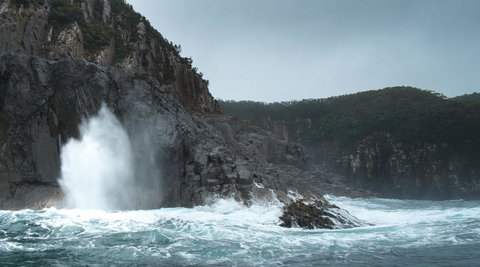 Full-Day Bruny Island Tour From Hobart - Perth Resorts 22