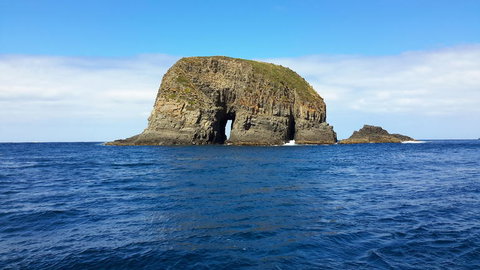 Full-Day Bruny Island Tour From Hobart - Perth Resorts 5