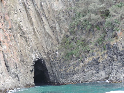 Full-Day Bruny Island Tour From Hobart - Perth Resorts 13