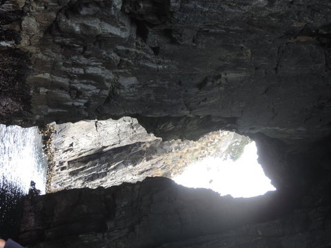 Full-Day Bruny Island Tour From Hobart - Perth Resorts 9