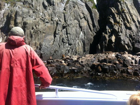 Full-Day Bruny Island Tour From Hobart - Perth Resorts 19