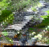 Mt Field National Park and Russell Falls from Hobart - Perth Resorts