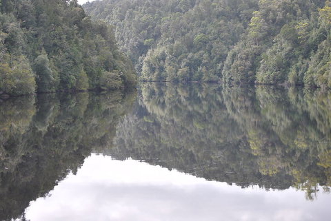 Gordon River Cruise Departing From Strahan - Accommodation Perth 17