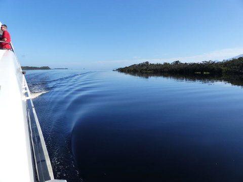 Gordon River Cruise Departing From Strahan - Accommodation Perth 3