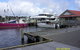 Gordon River Cruise Departing From Strahan - thumb 14