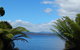 Gordon River Cruise Departing From Strahan - thumb 20