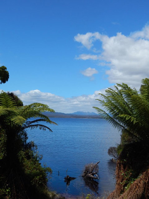 Gordon River Cruise Departing From Strahan - Accommodation Perth 20