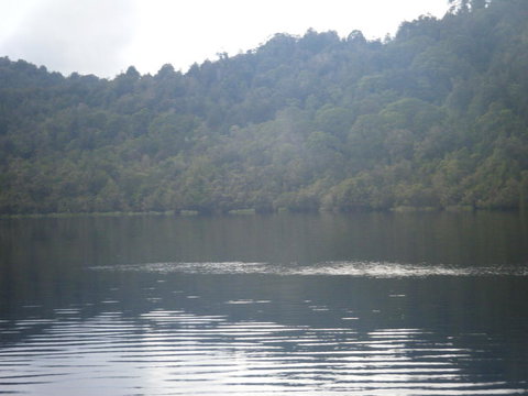 Gordon River Cruise Departing From Strahan - Accommodation Perth 23