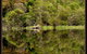 Gordon River Cruise Departing From Strahan - thumb 12