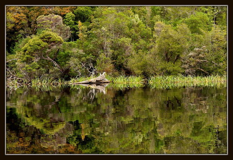 Gordon River Cruise Departing From Strahan - Accommodation Perth 12