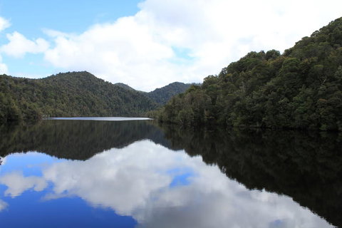 Gordon River Cruise Departing From Strahan - Accommodation Perth 21