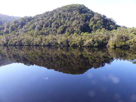 Gordon River Cruise Departing From Strahan - Accommodation Perth 4