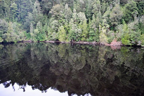 Gordon River Cruise Departing From Strahan - Accommodation Perth 24